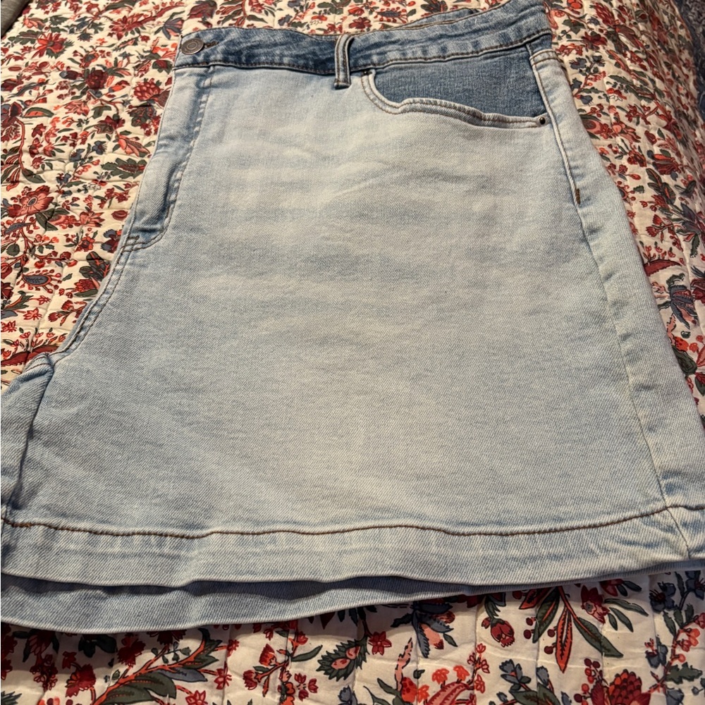 Terra & Sky size 20 shorts nwot